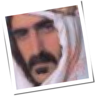 sheik yerbouti