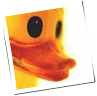 Hauke
