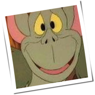 Toadi
