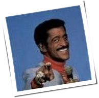 Mr.Jingles2