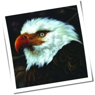 Flugmorph