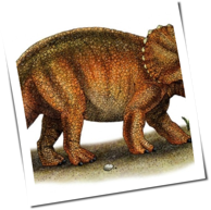 Triceratops