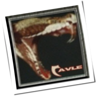 Cavle