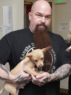 Metalsplitter: "Rap wird sterben, und das ist gut"